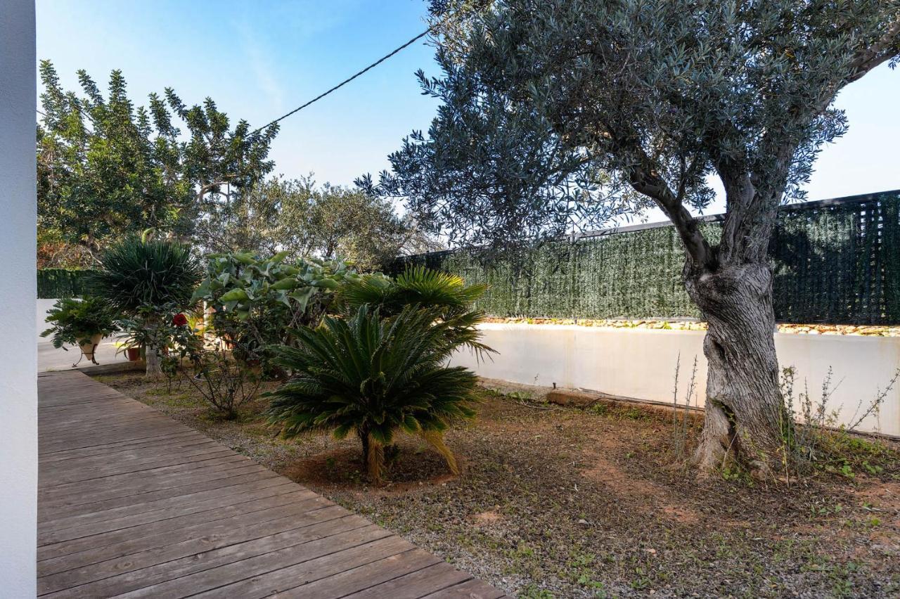 Villa Anur San José Extérieur photo